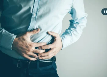 腎結石、膀胱結石⋯好發男性40歲後！醫示警：「肥胖女性」風險更高