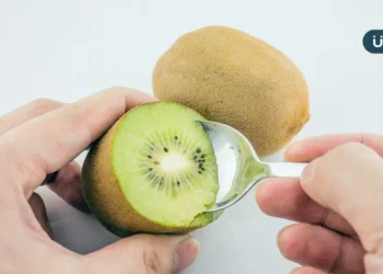 天氣一熱容易便秘怎麼辦？醫推早餐吃「這水果」：每週排便多1.5次