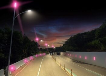 台中浪漫新亮點！「粉紅公路」預計5月底前完工