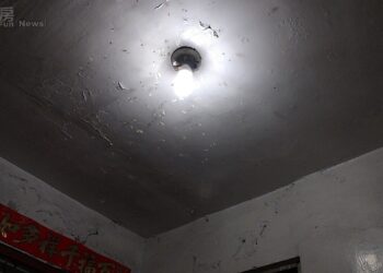 天氣潮濕白蟻大軍入侵！3種裝潢藏陷阱…4招避開蛀蝕危機