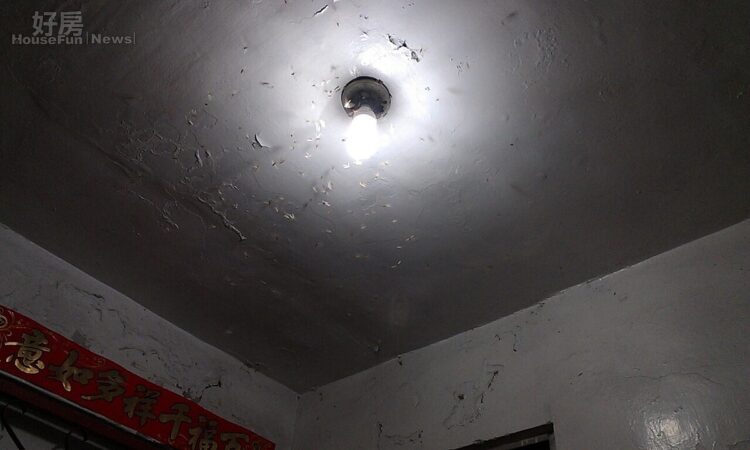 天氣潮濕白蟻大軍入侵!3種裝潢藏陷阱…4招避開蛀蝕危機 天氣潮濕白蟻大軍入侵!3種裝潢藏陷阱…4招避開蛀蝕危機