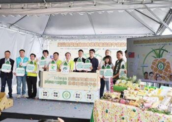 台灣鳳梨再度獲選-供應日本學童營養午餐