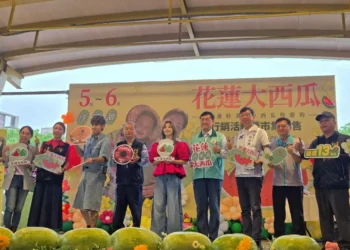 產地直送-新北助花蓮行銷大西瓜！