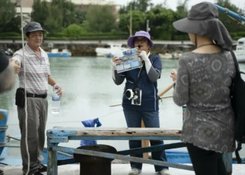 金山蹦火漁業-—-夜幕下的光影傳奇！