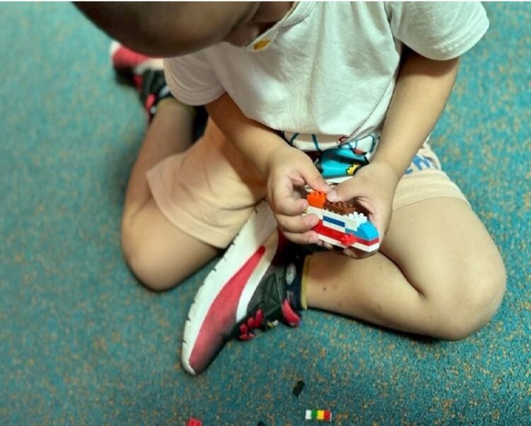 屏東寄養男童舉止受關注-縣府兩度派員查看一切正常