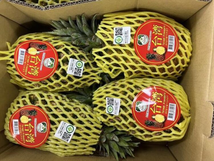 台南締盟城市富良野市空運採購台南「在欉黃」金鑽鳳梨3.019公噸 台南締盟城市富良野市空運採購台南「在欉黃」金鑽鳳梨3.019公噸