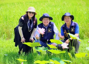 「花」現新城之美龍泉公園荷花池盛開 鄉長何禮臺邀您漫步龍泉公園賞荷花