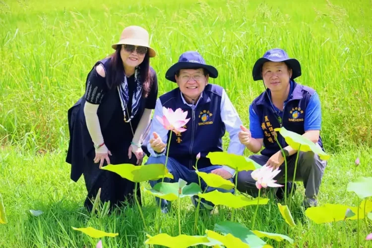 「花」現新城之美龍泉公園荷花池盛開 鄉長何禮臺邀您漫步龍泉公園賞荷花 「花」現新城之美龍泉公園荷花池盛開 鄉長何禮臺邀您漫步龍泉公園賞荷花