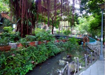 台北市神大排 網紅打卡消暑秘境