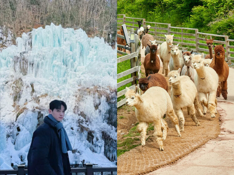 韓國一日遊行程推薦|韓國自由行熱門景點,必看兩大表演一次收錄 韓國一日遊行程推薦|韓國自由行熱門景點,必看兩大表演一次收錄