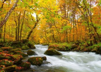 上半年最狂旅遊優惠 長汎假期出國最高省一萬！國內外旅遊限時促銷，全台門市同歡慶優惠大放送