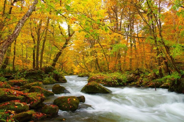 上半年最狂旅遊優惠 長汎假期出國最高省一萬！國內外旅遊限時促銷，全台門市同歡慶優惠大放送