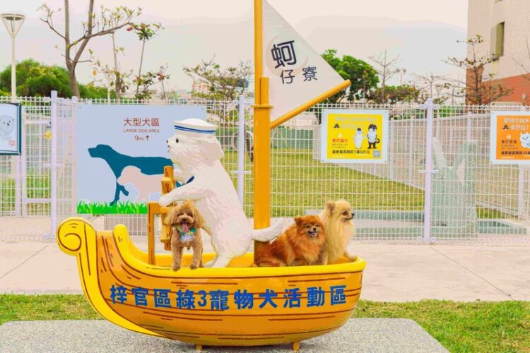 毛孩最愛的快樂碼頭 梓官蚵仔寮打造寵物友善新亮點