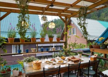 端午連假「鄒伙遊阿里山」 體驗鄒族原民文化與秘境美食