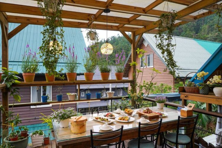 端午連假「鄒伙遊阿里山」 體驗鄒族原民文化與秘境美食 端午連假「鄒伙遊阿里山」 體驗鄒族原民文化與秘境美食