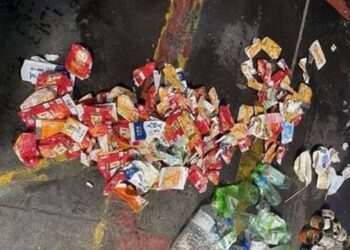 嘉縣環保局突擊稽查垃圾分類，18鄉鎮市公所 只有兩鄉鎮合格