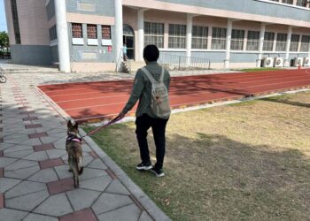 遛狗不繫繩最高開罰1萬5 屏縣動保條例今起上路