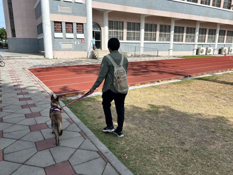 遛狗不繫繩最高開罰1萬5 屏縣動保條例今起上路