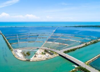 2025端午連假攏粽來臺南 龍舟美食賞花趣 開心過節超滿足