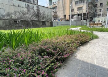 蘆洲再添綠地！「新社區公園」打造鄰里休憩空間