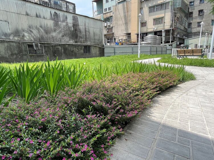 蘆洲再添綠地！「新社區公園」打造鄰里休憩空間