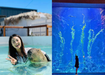 墾丁景點｜陽光燦爛國境之南景點 Top 6 必去台版最美小奈良、鹿ㄦ島與水豚君夢幻同游