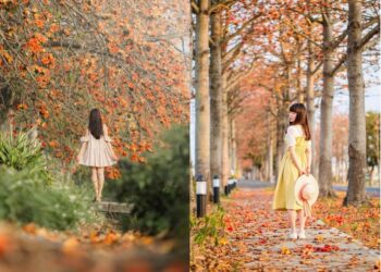 全台 6 大浪漫木棉花景點推薦｜春天情侶約會必去，林初埤木棉花道、東螺溪木棉花道