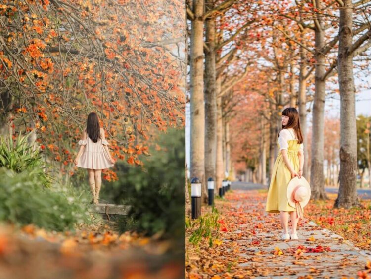 全台 6 大浪漫木棉花景點推薦｜春天情侶約會必去，林初埤木棉花道、東螺溪木棉花道