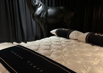 直營工廠透明製程！「劉李床墊」用試躺與專業陪顧客挑出一張理想好床