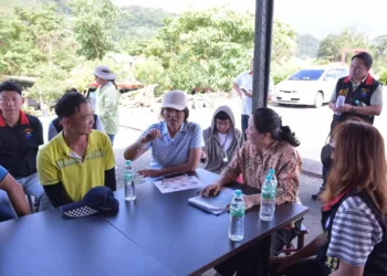 徐榛蔚視察六十石山農路工程 確保金針花季交通暢通安全 赴地方傾聽交流行銷計劃