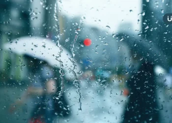 梅雨季大雨下不停？家事達人教你「超省錢除濕法」1物品回收再利用