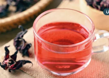 夏至養生注重「涼補」！中醫激推「養陰消暑茶」15分鐘能消暑解熱