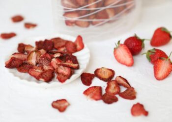 臺灣果乾品牌嚴選 品味純粹自然