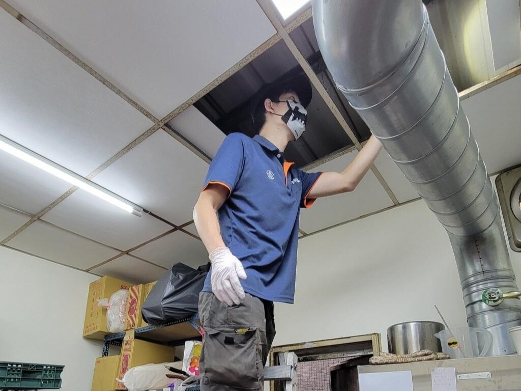 高雄除蟲公司推薦 專業防治蟑螂老鼠白蟻 一次搞定害蟲危機