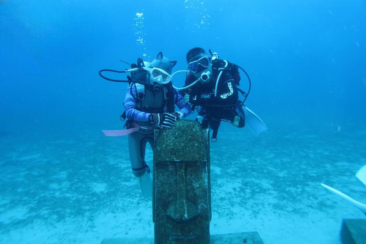 新北潛水體驗推薦 小班制舒適學潛旅程 從瑞芳出發潛入北海岸 新北潛水體驗推薦 小班制舒適學潛旅程 從瑞芳出發潛入北海岸