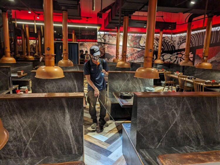 高雄防治蟑螂老鼠白蟻 一次搞定害蟲危機