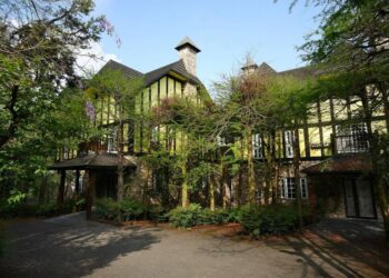 清境農場住宿推薦 南法風格南投景觀民宿 藏身高山落羽松森林間