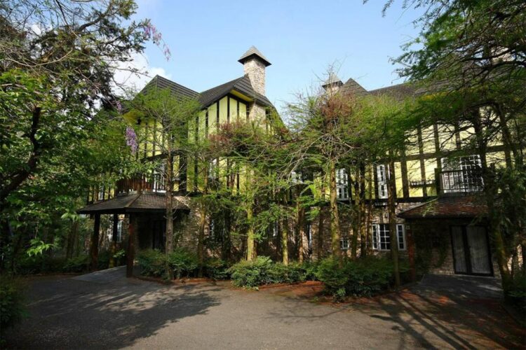 南法風格南投景觀民宿 藏身落羽松森林間 南法風格南投景觀民宿 藏身落羽松森林間