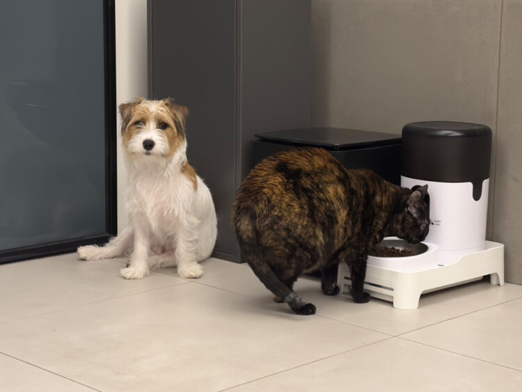 寵物自動餵食器推薦 遠端餵食、視訊監控與語音互動一次搞定 寵物自動餵食器推薦 遠端餵食、視訊監控與語音互動一次搞定