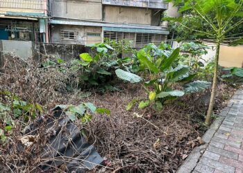 北投、士林、內湖都抓到了！住宅空地違規使用「它」 環保局揭「恐怖危害」：最高開罰5萬元