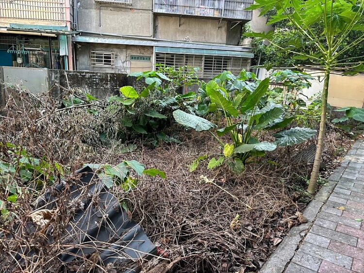 北投、士林、內湖都抓到了！住宅空地違規使用「它」 環保局揭「恐怖危害」：最高開罰5萬元