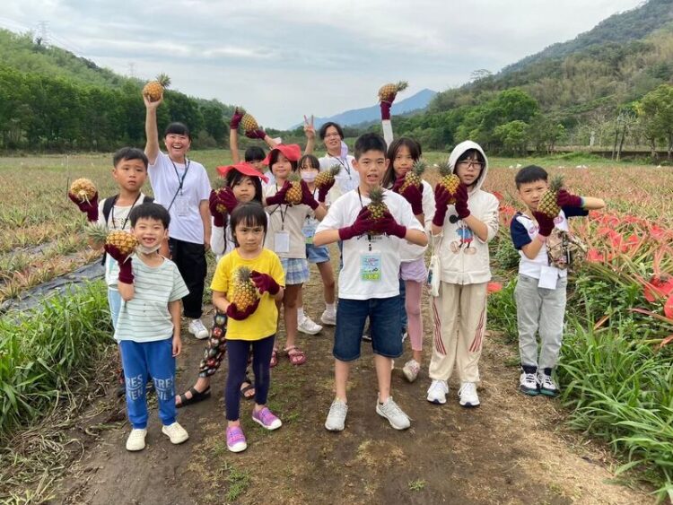 屏東「不老玩家」郵輪巴士環教遊程開放報名 樂齡族免費體驗185沿山之美