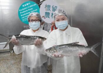 樹科大攜手漁村推出鱸魚料理包 助力漁產加工行銷升級