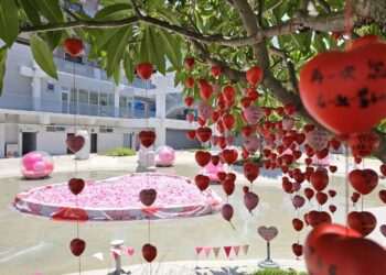 河樂廣場「愛情許願池」倒數 心型許願球串連浪漫