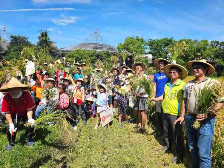 2025六堆園區農事學堂「六堆黃金稻穗 糯米大豐收」 2025六堆園區農事學堂「六堆黃金稻穗 糯米大豐收」