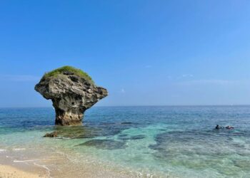 傳統文化變好玩！屏東黑鮪魚季掀起數位集章熱潮