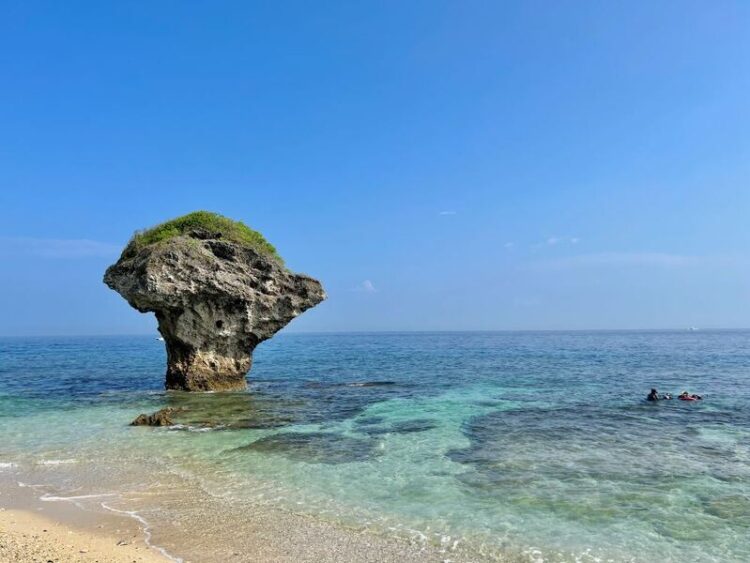傳統文化變好玩!屏東黑鮪魚季掀起數位集章熱潮 傳統文化變好玩!屏東黑鮪魚季掀起數位集章熱潮