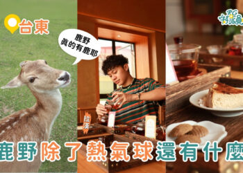 台東親子一日遊｜來鹿野不只有熱氣球可以玩 超療癒行程3大景點推薦