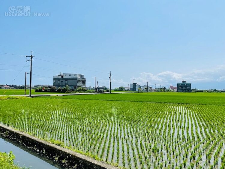 農舍合法卻要繳一堆稅？稅務局提醒一定要注意「這件事」