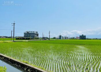 有農地的注意了！「遭人陷害」土地變非農用 慘被課地價稅